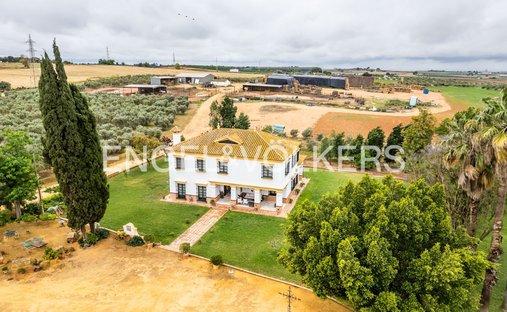 Finca in Mairena del Alcor, Andalusia, Spain 1