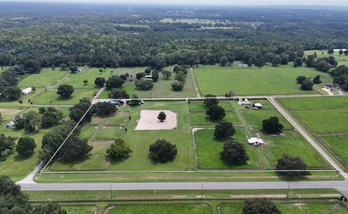 Farm Ranch in Reddick, Florida, United States 1