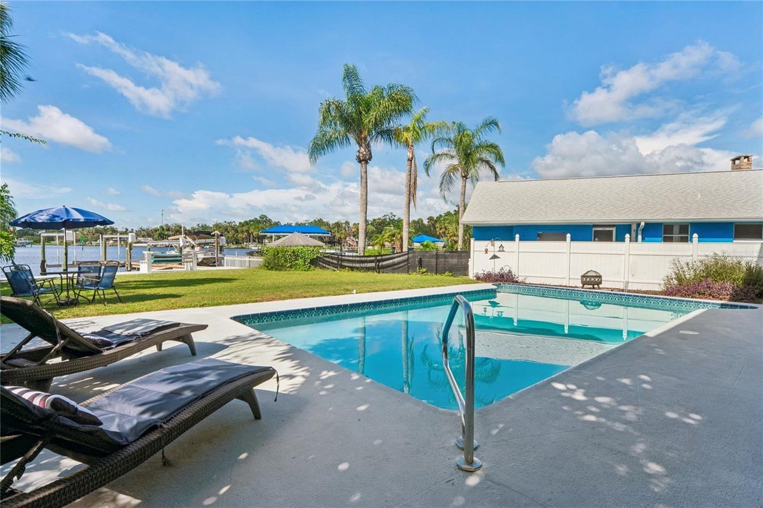 House in New Port Richey, Florida, United States 4 - 18687320