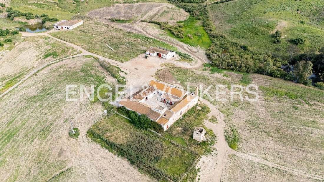 Las Cabezas de San Juan, Andalusia, Spain 1 - 16625847
