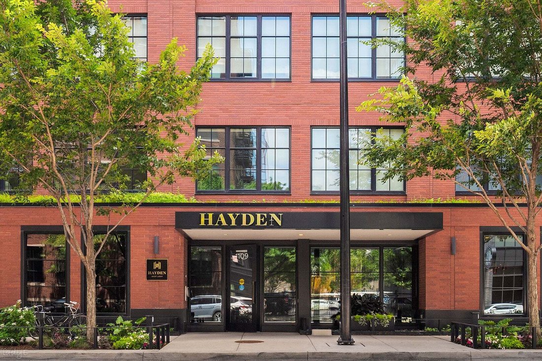 Condo in Chicago, Illinois, United States 1 - 18687816