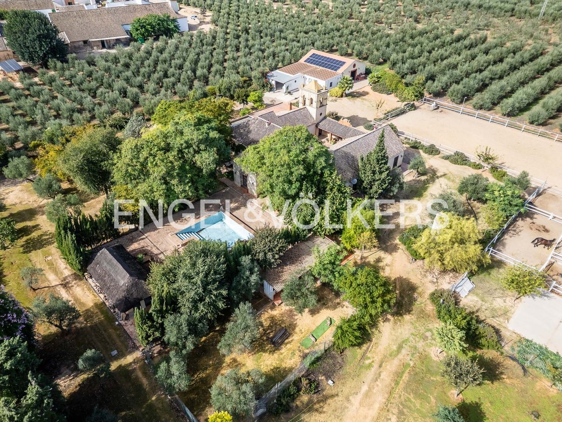 House in Bollullos de la Mitacion, Andalusia, Spain 5 - 16758035