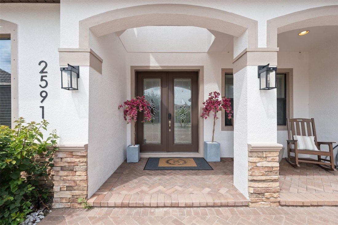 House in Palm Harbor, Florida, United States 3 - 18689844