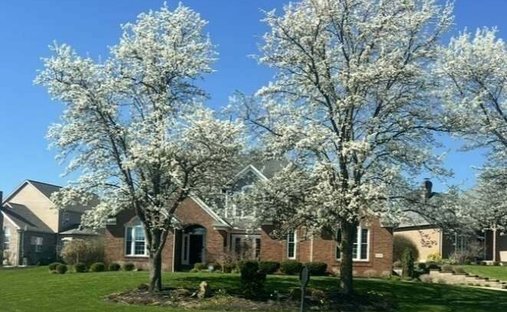 Haus in Canton, Ohio, Vereinigte Staaten 1