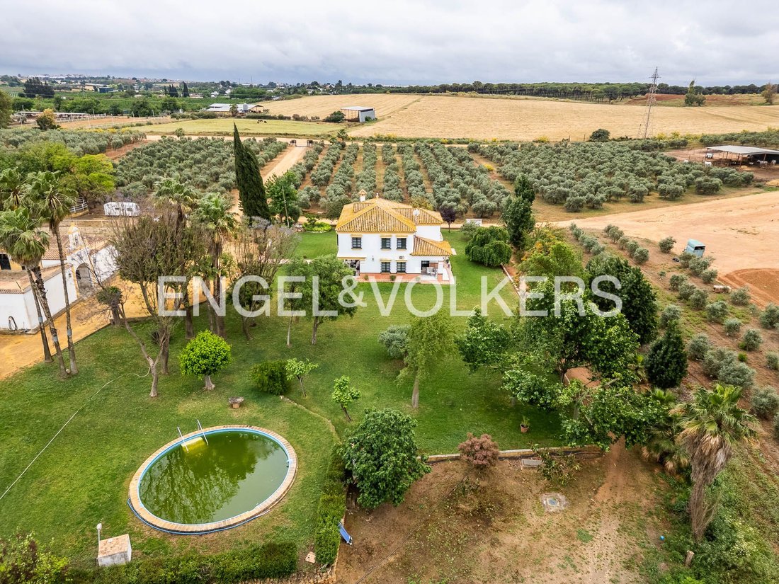 Finca in Mairena del Alcor, Andalusia, Spain 2 - 18379597