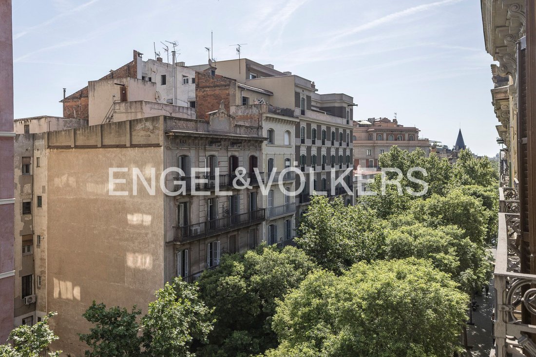 Apartment in Eixample, Barcelona, Spain 5 - 17738671