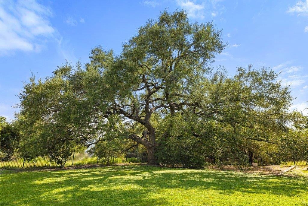 House in Wimberley, Texas, United States 2 - 18690291