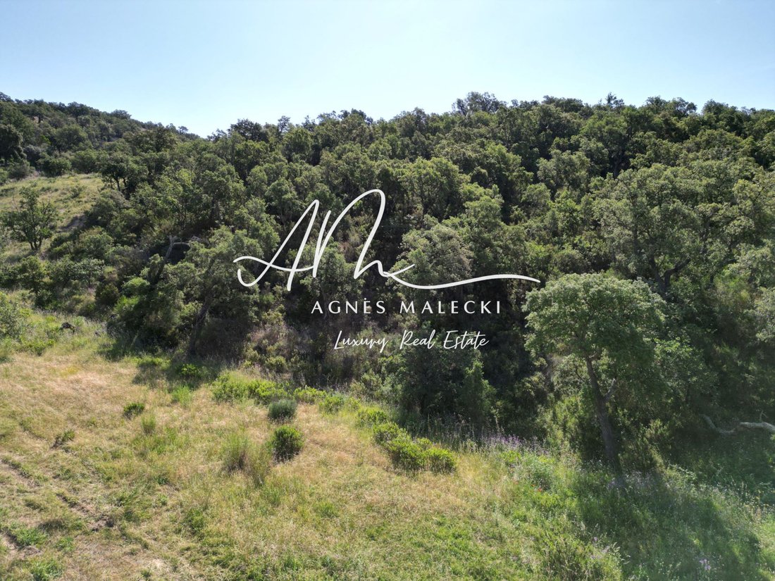 Land in Grimaud, Provence-Alpes-Côte d'Azur, France 4 - 18687423