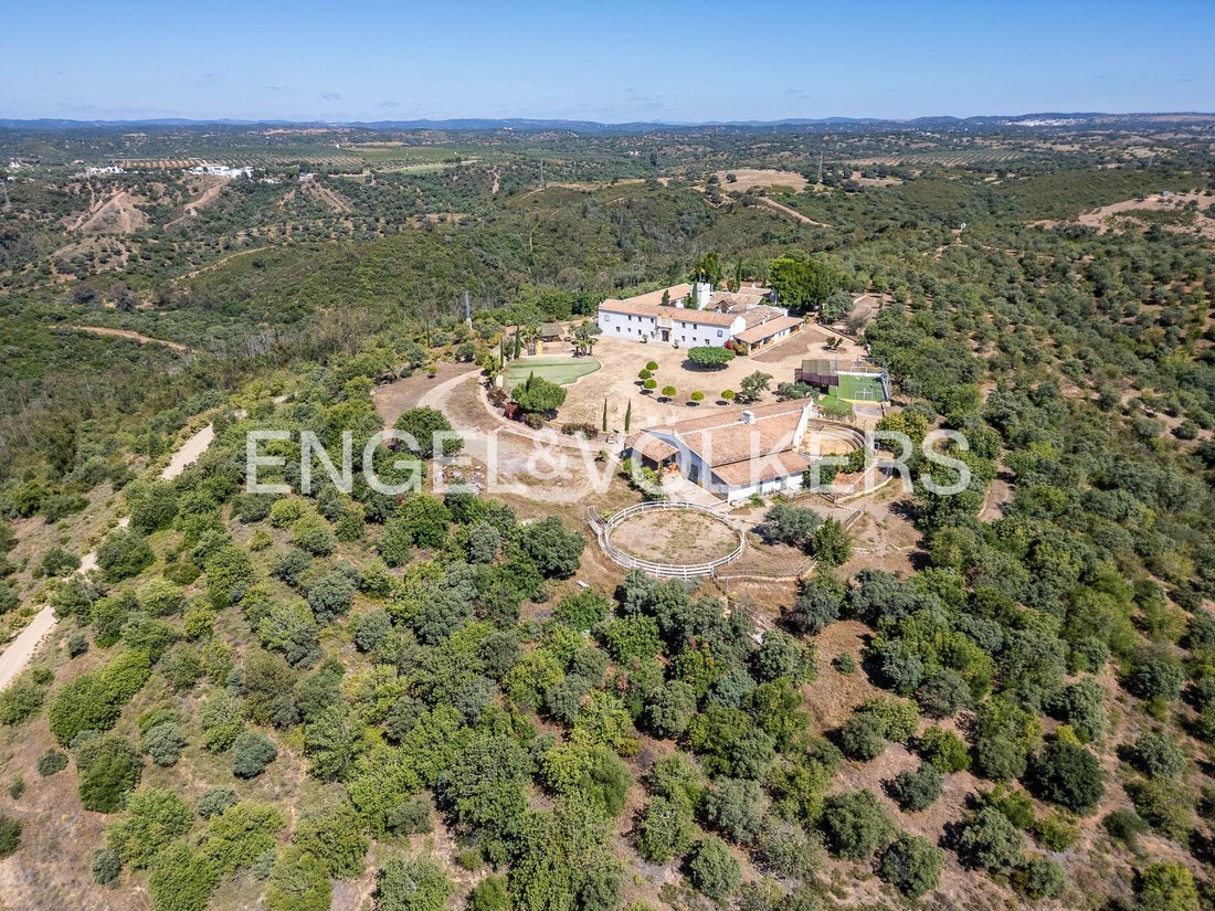 Andere in Gerena, Andalusien, Spanien 4 - 18379520