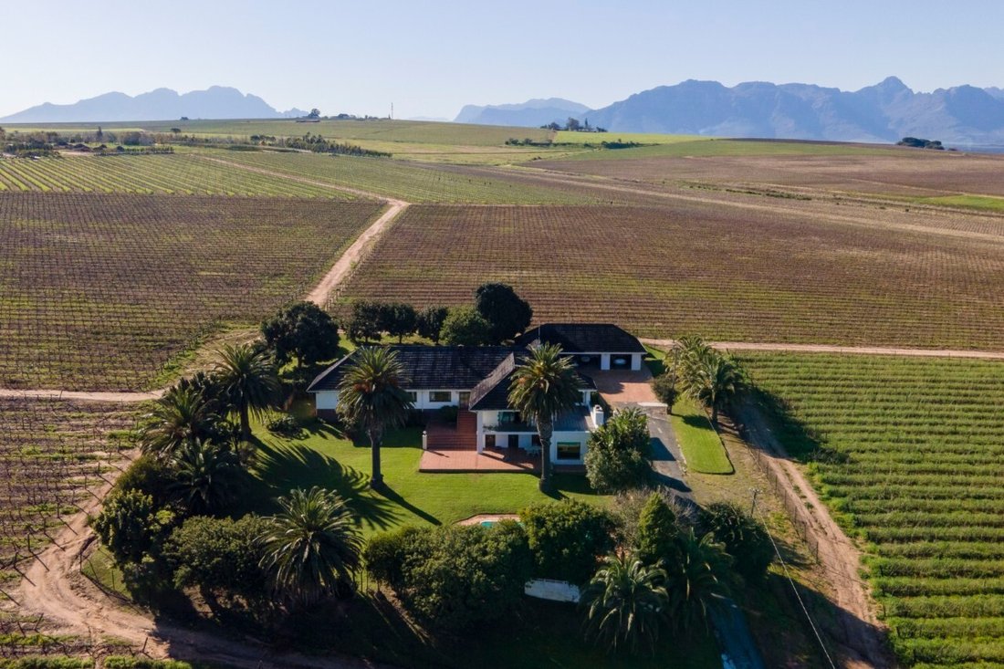 Farm Ranch in Stellenbosch, Western Cape, South Africa 4 - 18690544