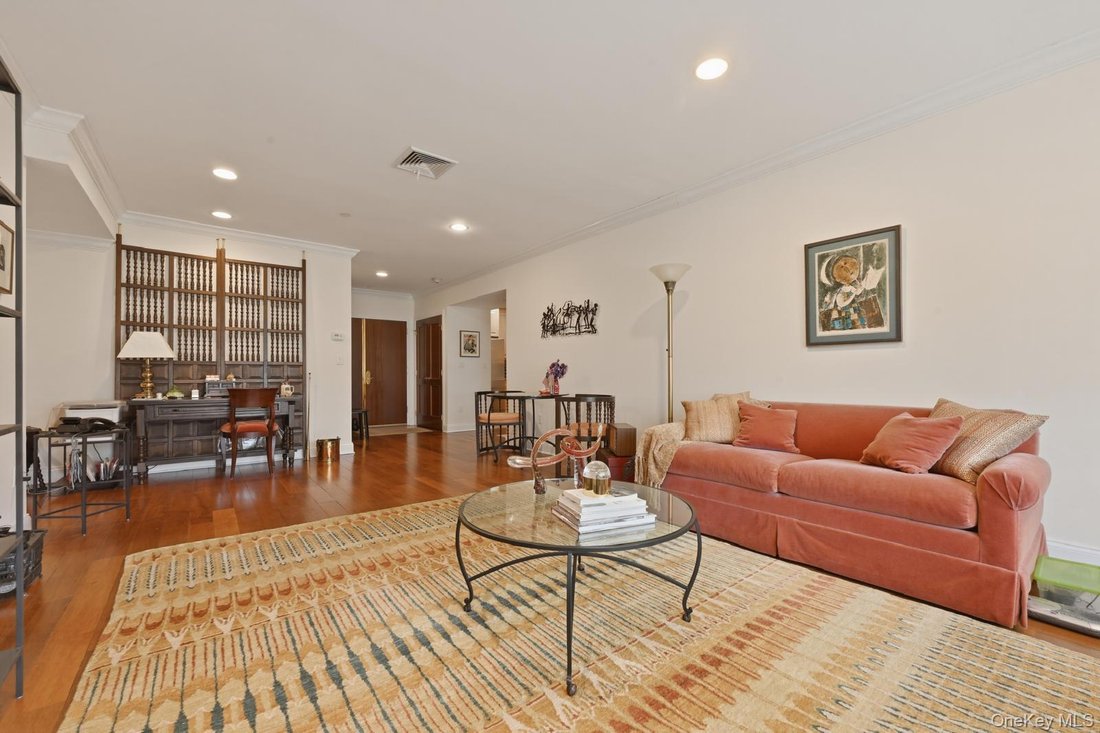Condo in Great Neck, New York, United States 4 - 18394111