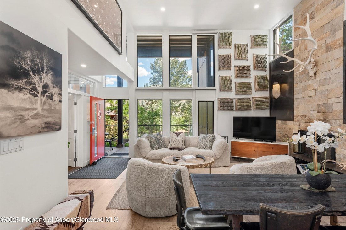 Condo in Aspen, Colorado, United States 5 - 18616302