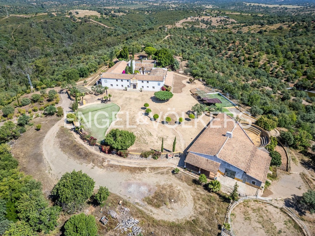 Andere in Gerena, Andalusien, Spanien 1 - 18379520