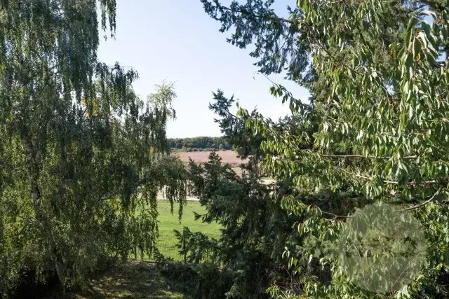 House in Rambouillet, Ile-de-France, France 4 - 16221897