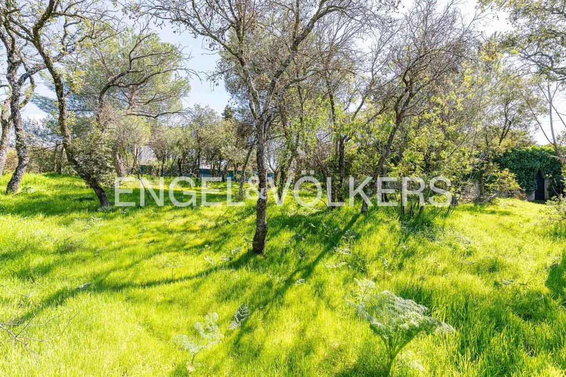 Land in Torrelodones, Comunidad de Madrid, Spain 5 - 17431732