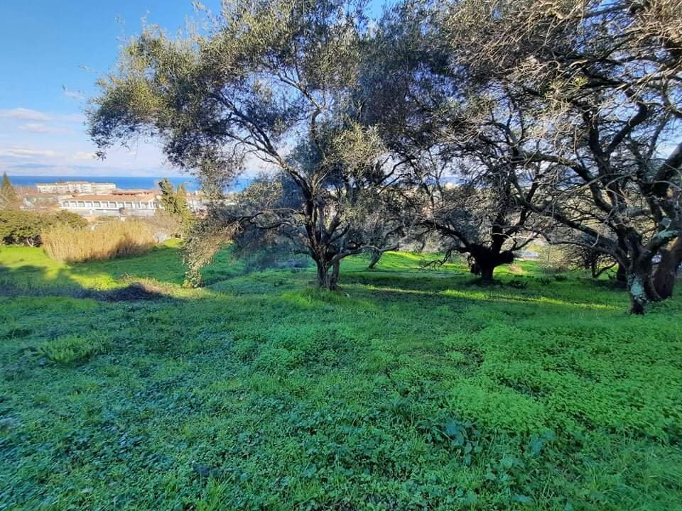 Land in Meliteieis, Peloponnese, Western Greece and the Ionian, Greece 2 - 18687193