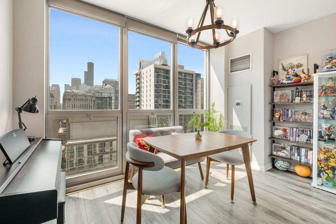 Condo in Chicago, Illinois, United States 5 - 18687789