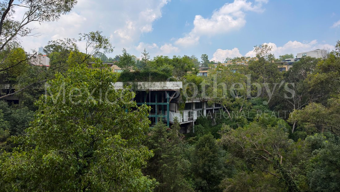 Apartment in Mexico City, Mexico 4 - 15902647