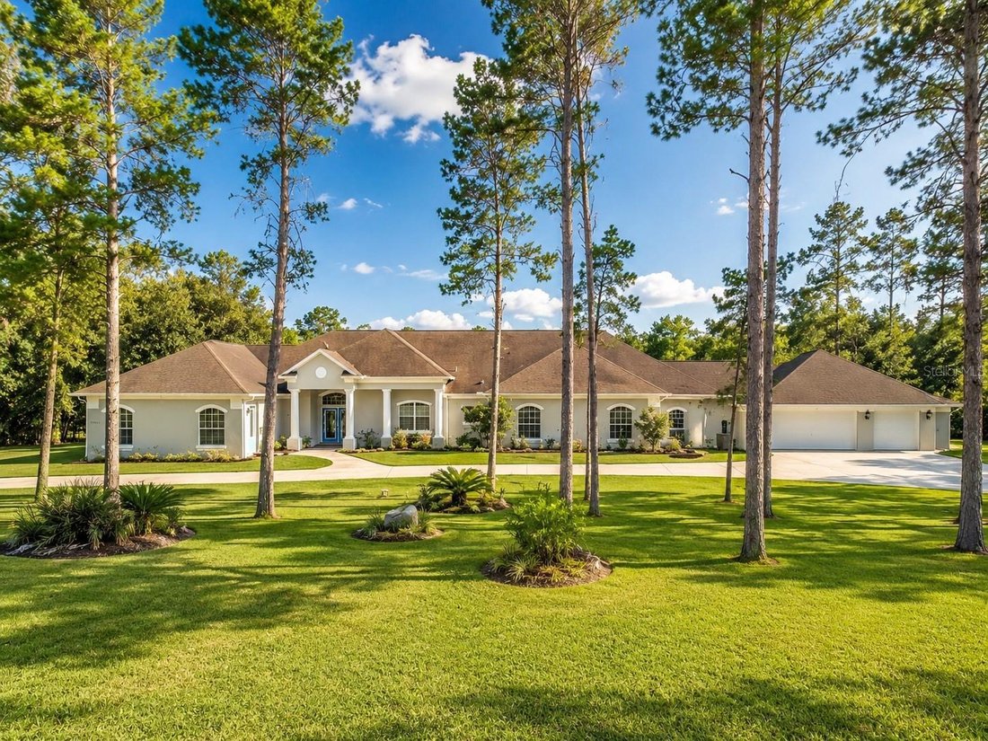 House in South Brooksville, Florida, United States 1 - 18689912
