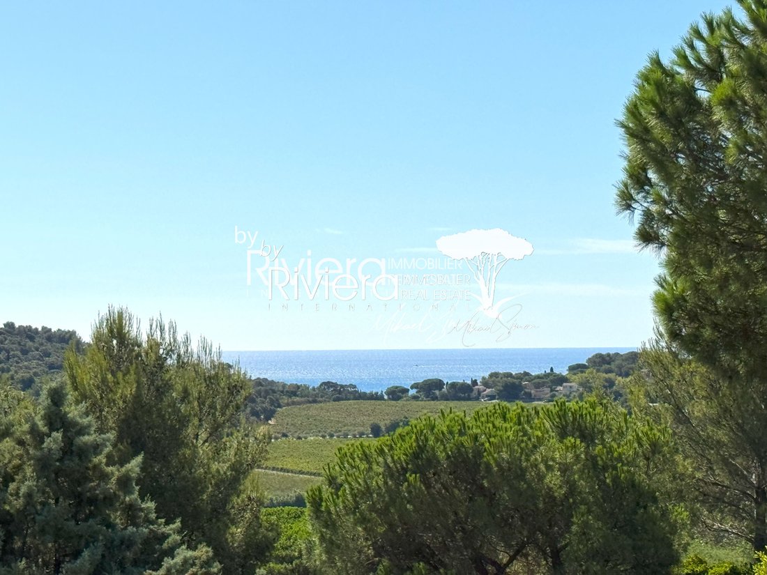 Estate in La Croix-Valmer, Provence-Alpes-Côte d'Azur, France 2 - 18689830