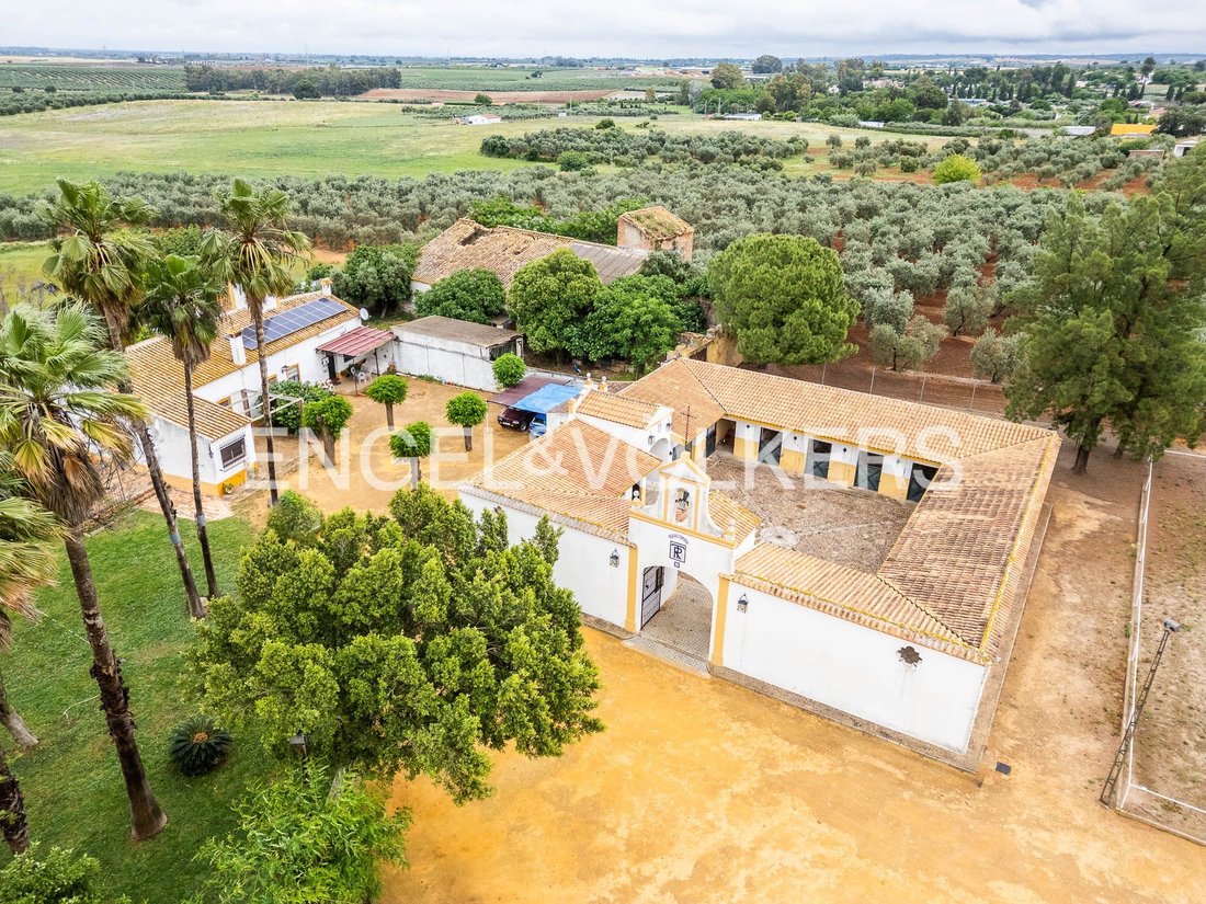 Finca in Mairena del Alcor, Andalusia, Spain 5 - 18379597