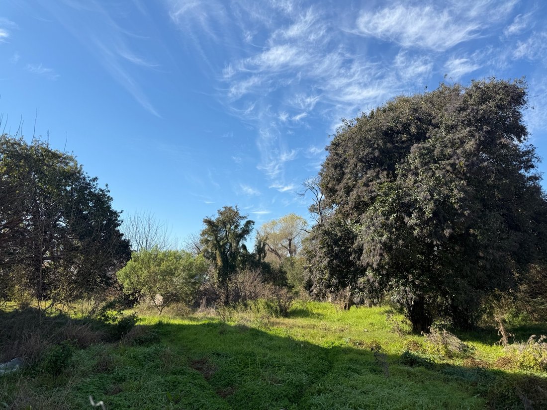 Land in Belén de Escobar, Buenos Aires Province, Argentina 5 - 18688328