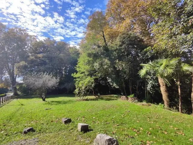 House in Virginie-Castetarbe-Batiplex-Moutete, Orthez, France 4 - 16461192