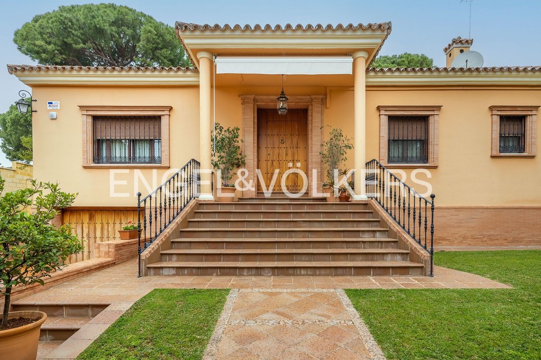 House in Alcala de Guadaira, Andalusia, Spain 3 - 17775029