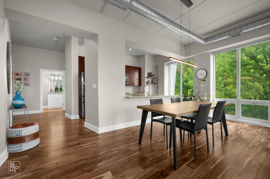 Condominio en Chicago, Illinois, Estados Unidos 3 - 18687768