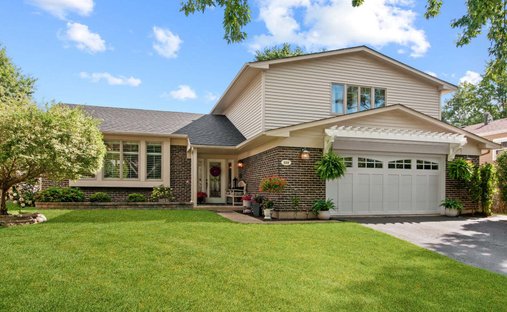 House in Bolingbrook, Illinois, United States 1