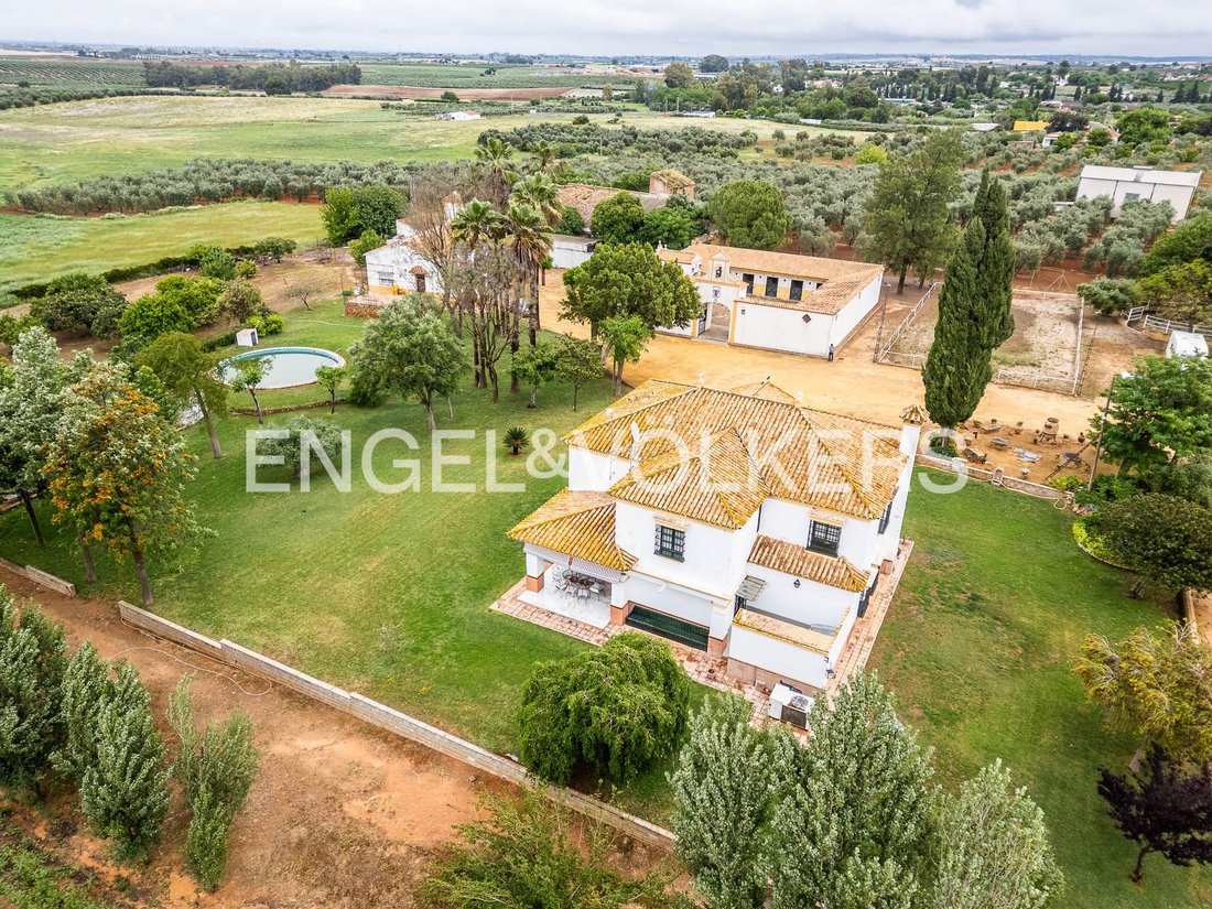 Finca in Mairena del Alcor, Andalusia, Spain 4 - 18379597