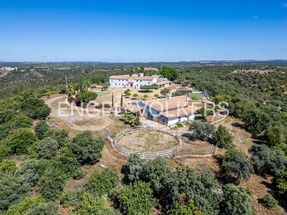 Andere in Gerena, Andalusien, Spanien 5 - 18379520