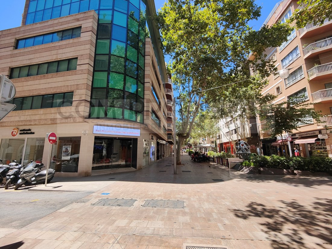 Apartment in Palma, Balearic Islands, Spain 2 - 18691270