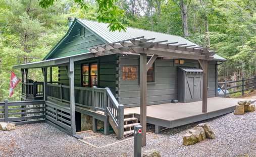 House in Cherry Log, Georgia, United States 1