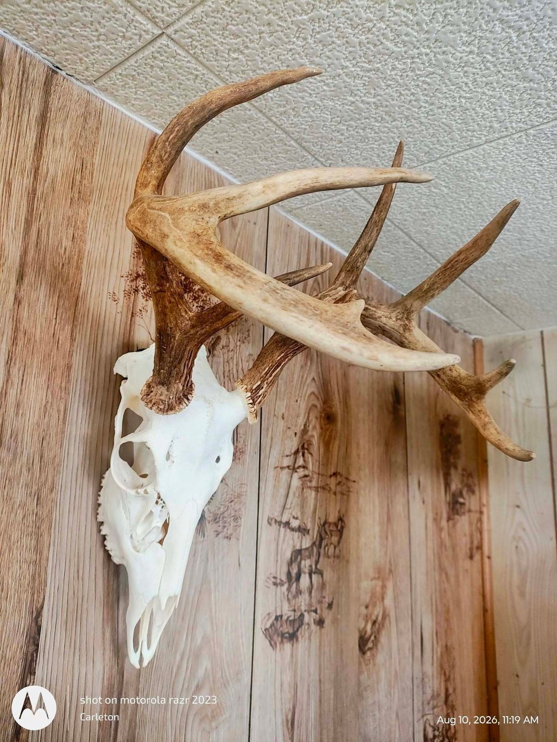 Farm Ranch in Rochelle, Texas, United States 3 - 17143253