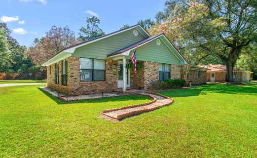 Casa a Elberta, Alabama, Stati Uniti 1