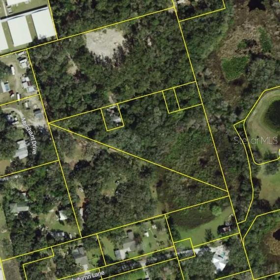 House in New Port Richey, Florida, United States 3 - 18687625