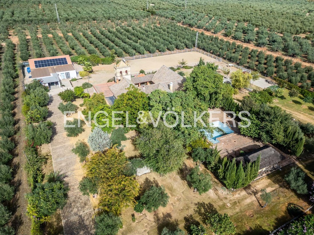 House in Bollullos de la Mitacion, Andalusia, Spain 4 - 16758035