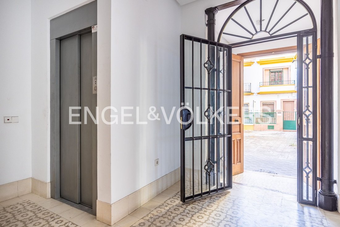 House in Casco Antiguo, Seville, Spain 3 - 16758018