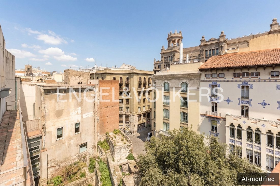 Apartment in Ciutat Vella, Barcelona, Spain 5 - 17553240