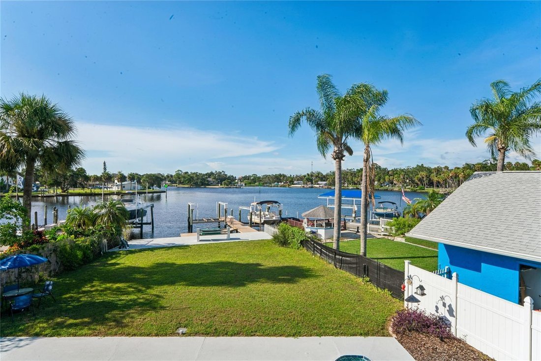 House in New Port Richey, Florida, United States 3 - 18687320