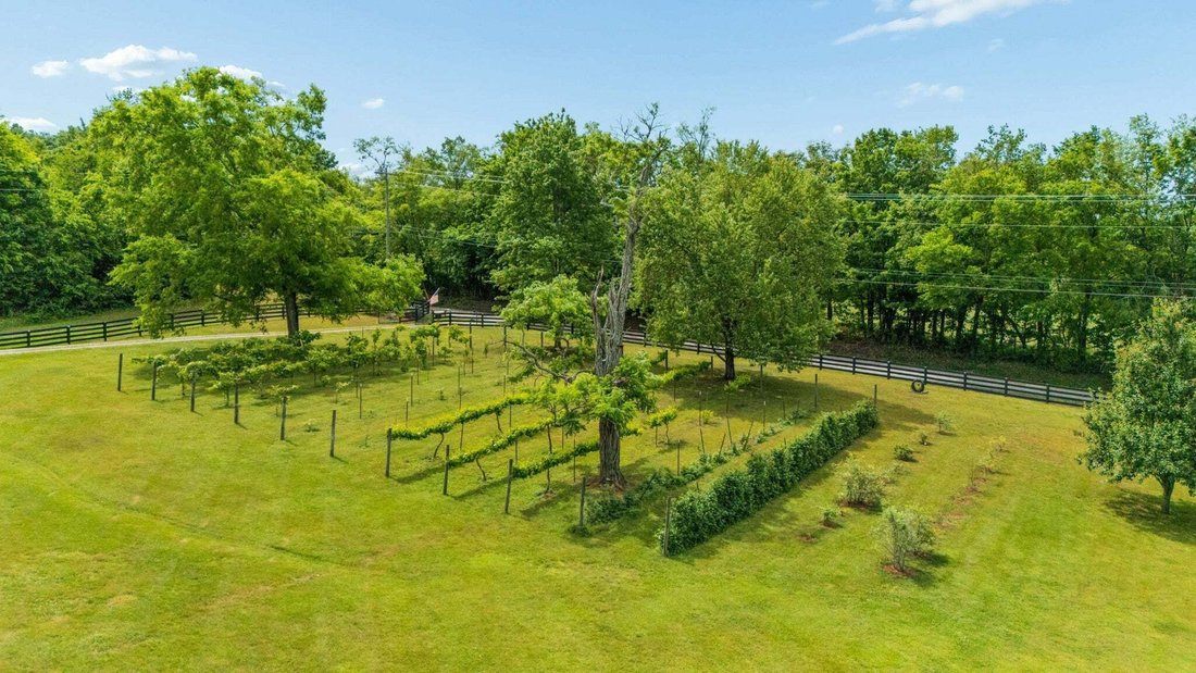 House in Franklin, Tennessee, United States 4 - 18687972