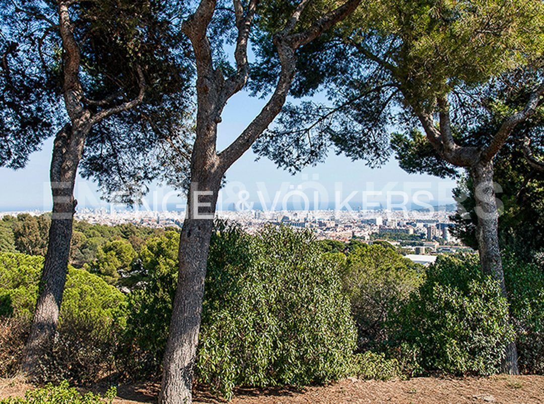 Altro a Sant Andreu de Palomar, Barcellona, Spagna 2 - 17376908