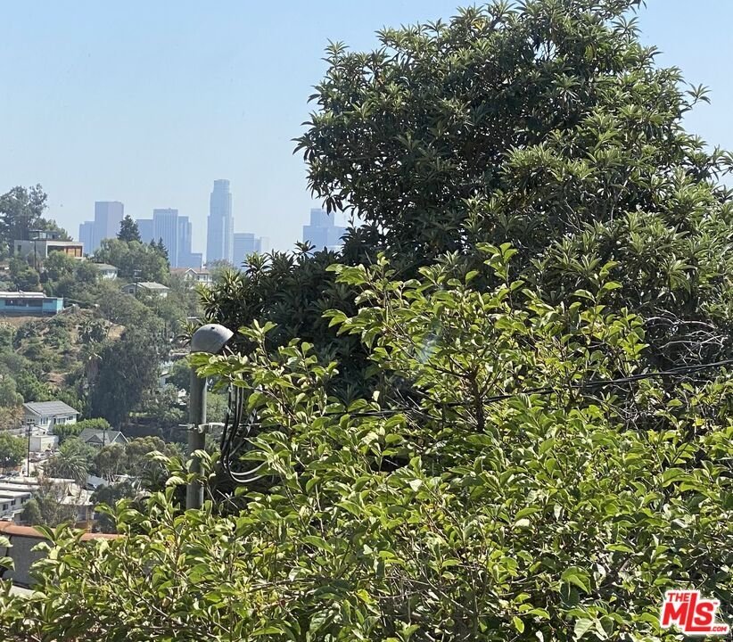 Los Angeles, California, United States 1 - 18691025