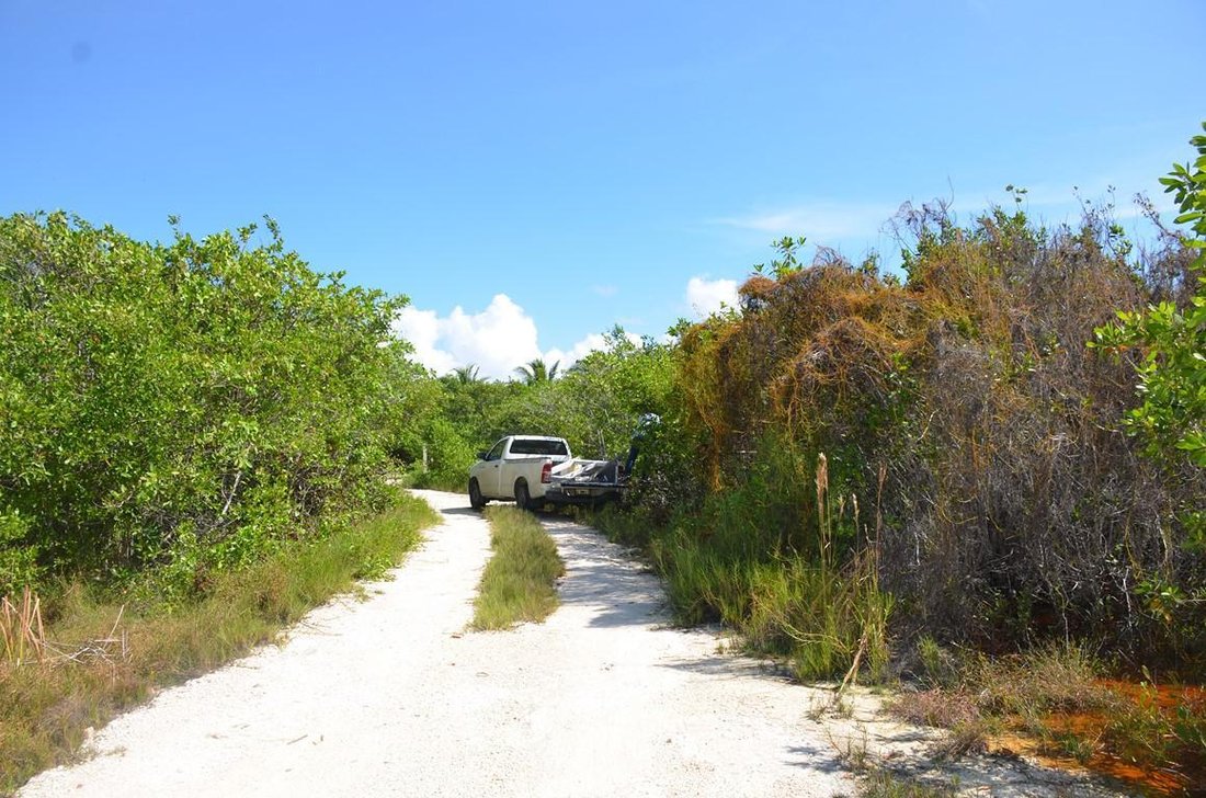 Land in Caracol, Quintana Roo, Mexico 4 - 18688649