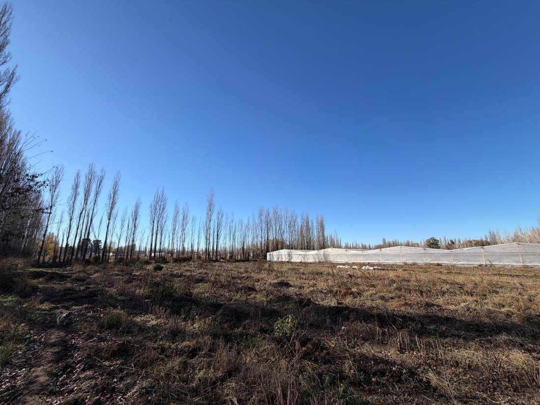 Land in Neuquen, Neuquen, Argentina 5 - 18688715