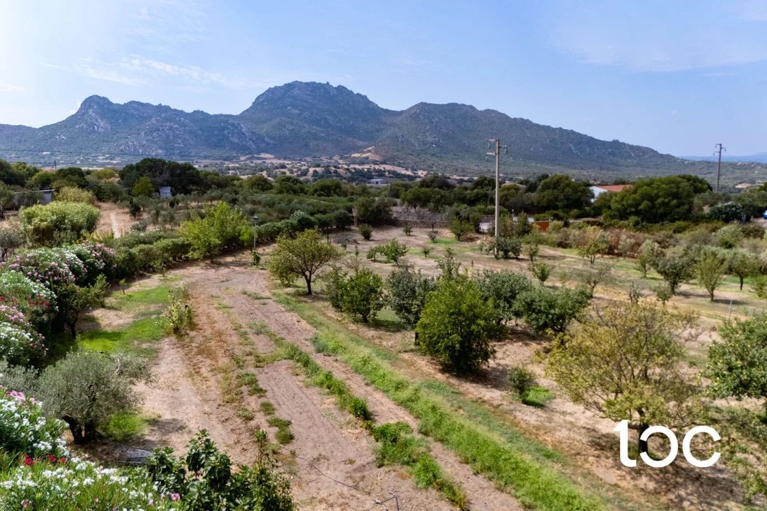 Estate in Golfo Aranci, Sardinia, Italy 5 - 18688157