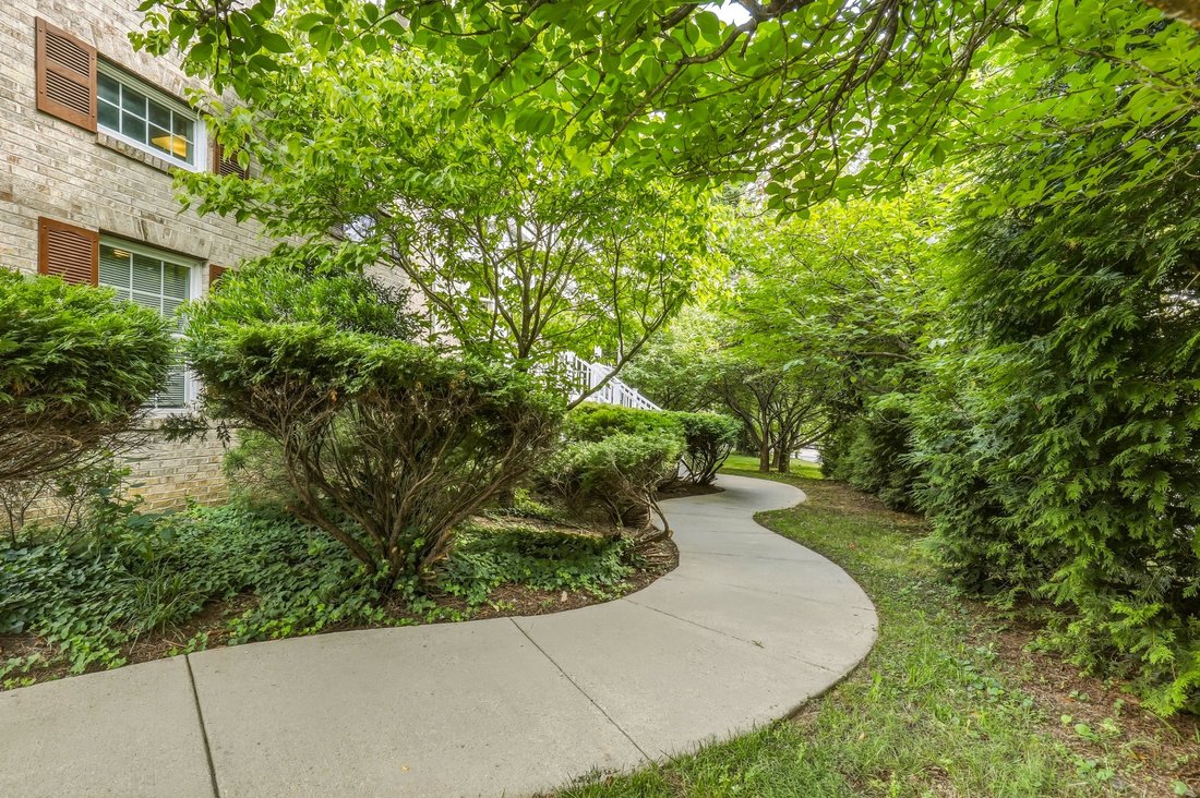 House in Rockville, Maryland, United States 3 - 18689546