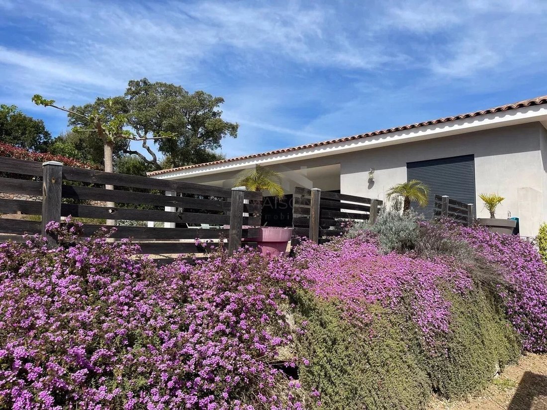 Villa in Zonza, Corsica, France 3 - 18688449