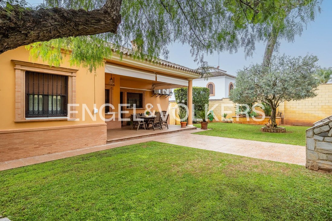 House in Alcala de Guadaira, Andalusia, Spain 5 - 17775029